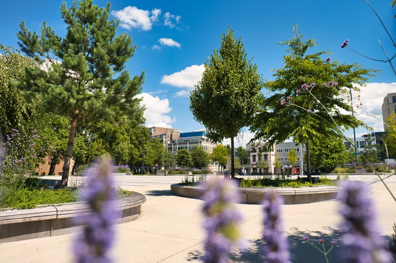 Park- en Terreininrichting 