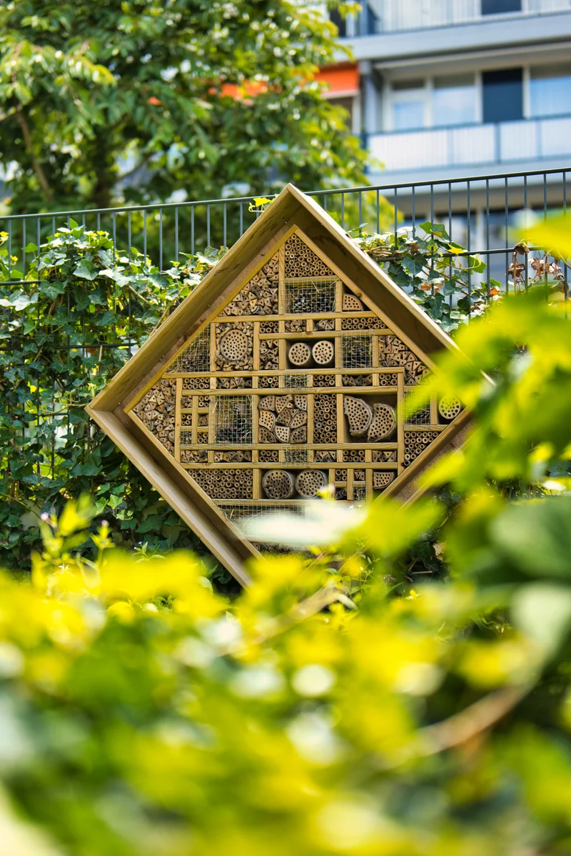 Biodiversiteit & klimaatadaptatie